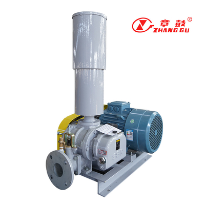 SSR Roots Vacuum Pump Roots Booster Vacuum Pump dla procesów krytycznych